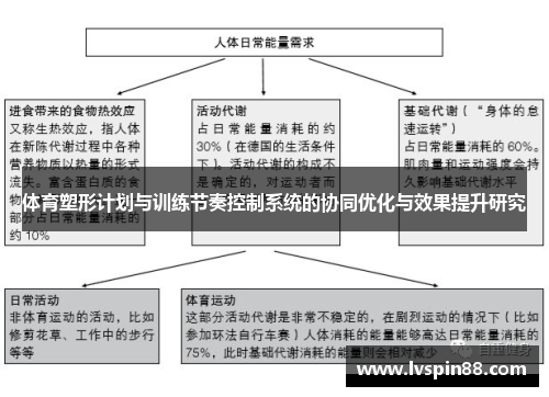 体育塑形计划与训练节奏控制系统的协同优化与效果提升研究